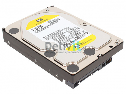 WD1004FBYZ