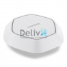 Точка доступа Linksys LAPN300, 2.4 GHz, 300Mb/s, IEEE 802.11 b/g/n, web interface, SNMP