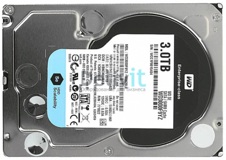 WD3000F9YZ